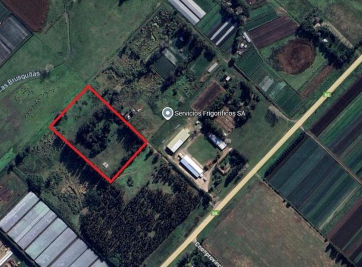 Terreno · 25000m²