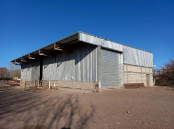 Bodega-Galpón de 1 ambiente, Perdriel · Galpón en Alquiler Ubicado en Ruta Nacional 40, Perdriel, Luján de Cuyo.