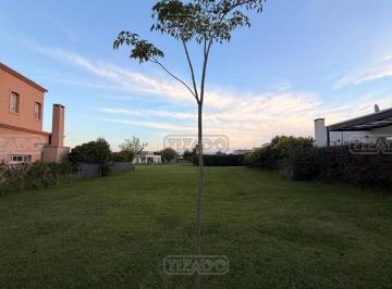 Terreno · 610m² · Terreno Lote en Venta en San Ramiro, Pilar del Este, Pilar