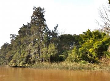 Terreno · 130000m² · Venta Terreno Delta Río Paraná Permuta