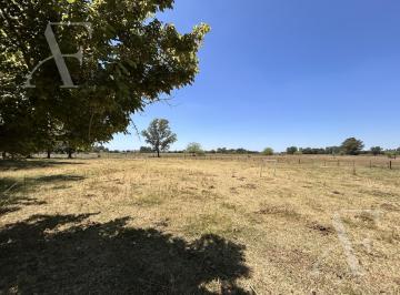 Campo · 280ha · Campo en General Las Heras
