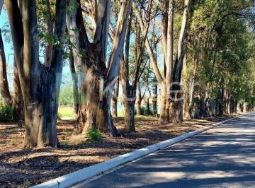 Terreno · 511m² · Terreno Lote en Venta en Santa Sofía, Pilar del Este, Pilar