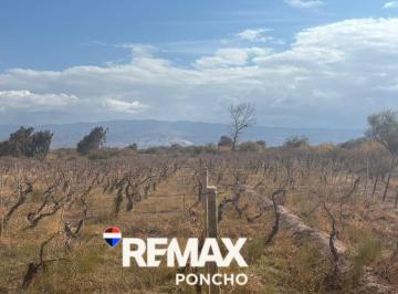 Terreno · 8129m² · Se Vende Terreno C/viñedos en Fiambala - Tinogasta