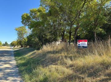 Terreno · 1566m² · Lote de 29 X 54 Mtros2 en Maria Ignacia Vela