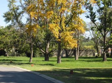Terreno · 440m² · Venta – Lote en Solares de Zapiola | Moreno