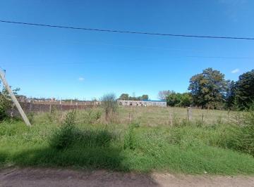 Terreno · 5000m² · Lote en Venta - C/ Escritura - Virrey del Pino