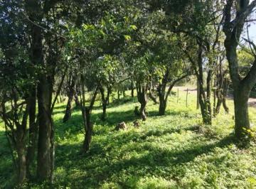 Terreno · 795m² · Preventa Lote con Escritura Camino de Cuadrado