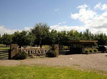 Terreno · 1000m² · Venta Lote Barrio Entrevides Tupungato