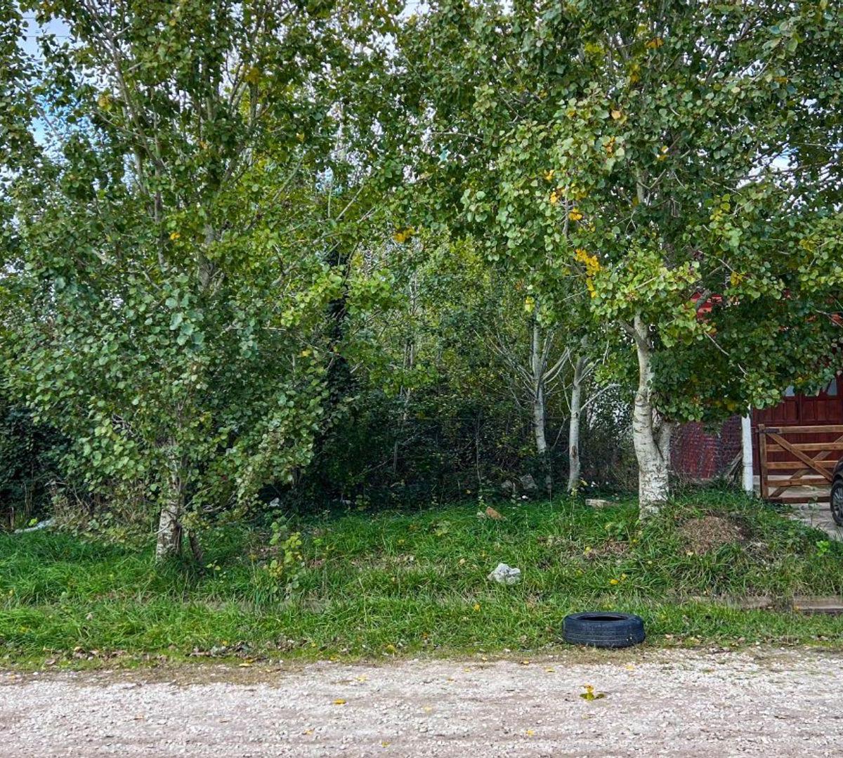 Lote en Barrio Hipódromo, 372m²