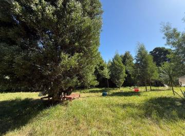 Terreno · 779m² · Venta Lote Aprox800 M²barrio Parque Peña, Cedro Azul