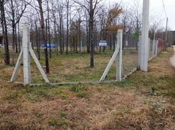 Terreno · 1000m² · Venta Lote de 1000 m con Mejoras Anisacate
