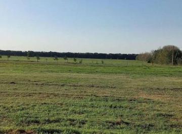 Terreno · 369m² · Venta Terreno - Lote II - Pujato Norte.