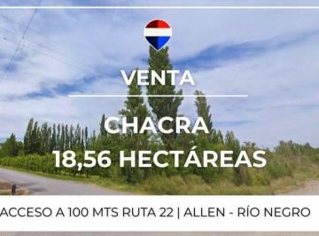 Campo · 19ha · Venta Chacra 18,56 Ha - Allen, Rio Negro