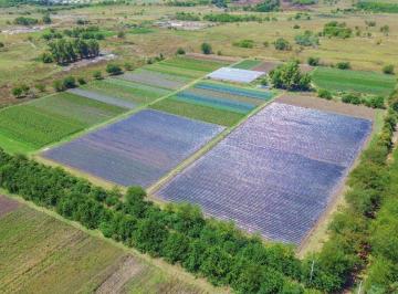 Campo · 9ha · Venta Fraccion 9 Ha Zonificacion Cr1 Pilar
