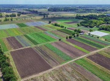 Campo · 39ha · Venta Fraccion 39 Ha Zonificacion Cr1 Pilar