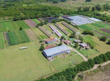 Campo · 11ha · Venta Fraccion 11 Ha Zonificacion Cr1 Pilar