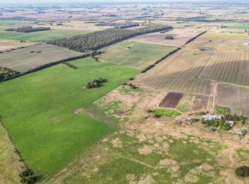Campo · 4ha · Venta Chacras en San José