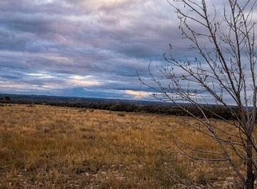 Campo · 15ha · Venta de Finca. Kilometro 49. Lujan de Cuyo