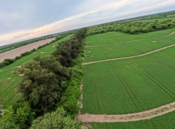 Campo · 1000ha · Venta de Campo Departamento Robles 448 Hectáreas