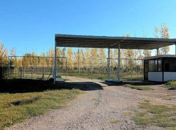 Terreno · 1000m² · Lote en Venta– Bosques de Capiz, Eco Country