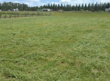 Terreno · 2356m² · Lote en Venta en Campo de Roca Ll