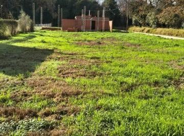 Terreno , Colonia Tirolesa · Venta Terreno Esquina Barrio Las Acacias - Colonia Tirilesa