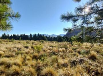 Terreno · 41897m² · Muy Buena Fracción en Bariloche Ñirihuau (Dina Huapi) de 41897 m².
