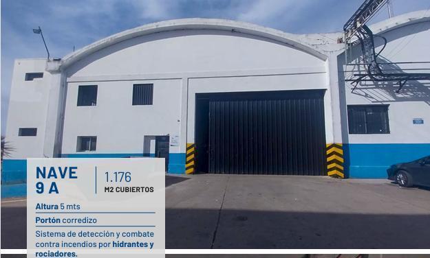 Bodega-Galpón · 1176m²