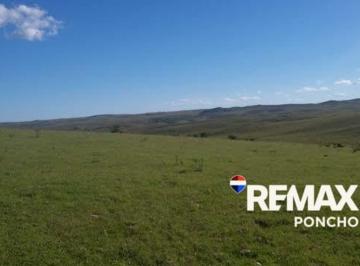 Campo · 1000ha · Vend0 Campo Productivo Agricultura y Ganadería