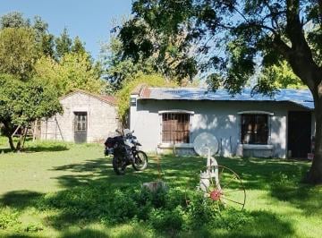 Campo · 240000ha · Chacra - San Vicente en Venta