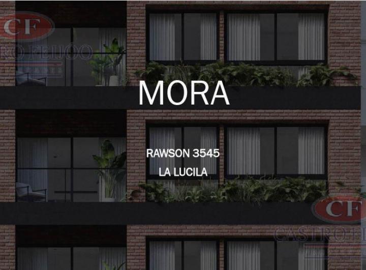 Desarrollo vertical · Mora