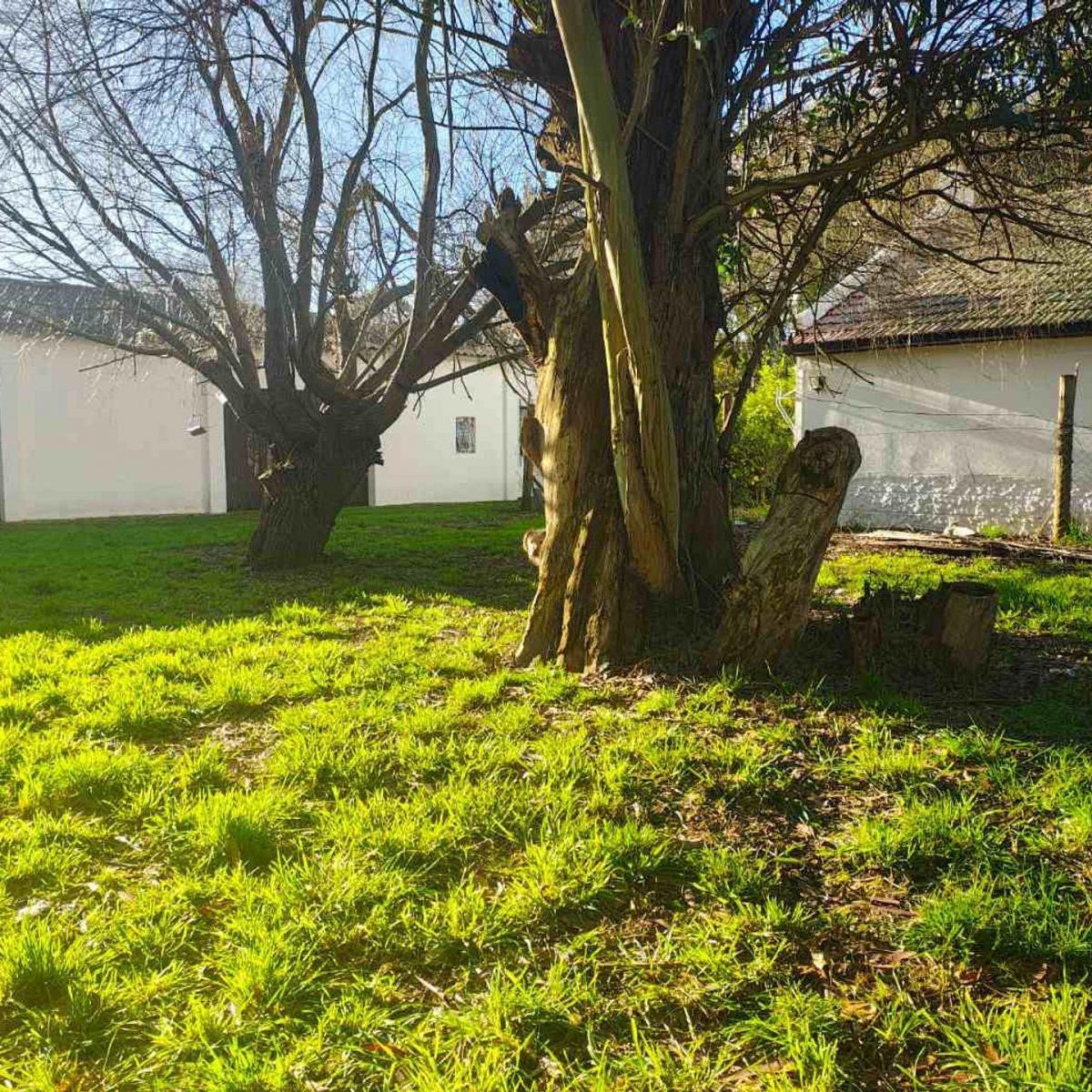 Lote 252m² en Barrio Félix U. Camet — ideal para vivienda o inversión