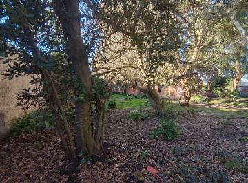 Terreno · 420m² · Venta Lote Terreno Barrio Felix U Camet