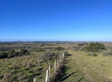 Campo · 110ha · Campo en Venta Al Norte de Garzón - Buen Acceso