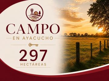 Campo · 6 Dormitorios · Campo - Ayacucho