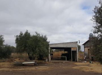 Quinta vacacional · 120m² · 3 Dormitorios · 2 Cocheras · Finca Venta en Los Claveles, San Rafael, Mendoza