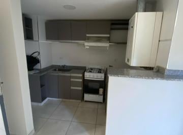 Departamento · 45m² · 2 Ambientes · Departamento 1 Dormitorio - Terraza con Asadores