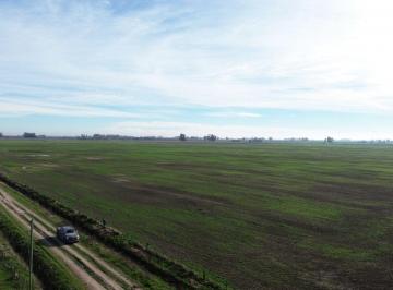 Campo , San Andrés de Giles · Campo Mixto 2300 del Asfalto - 71 Ha