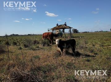 Terreno · Venta de Terreno en Virrey del Pino