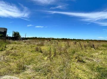 Terreno · 5000m² · Terreno de 5000 m² en Venta y Alquiler con Financiación en Gonnet.
