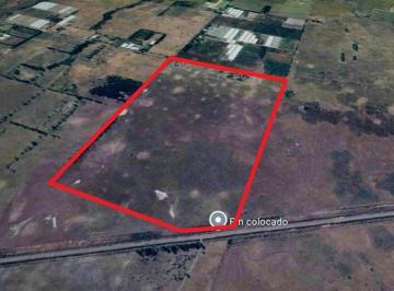 Terreno , Corrientes · Campo en Venta Corrientes Prov de Bs As / 70 Ha / Oportunidad! U$s 140.000