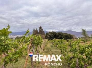 Terreno · 8651m² · Se Vende Terreno en Fiambala Tinogasta