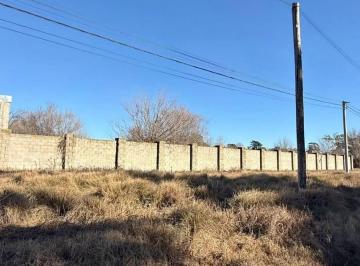 Terreno , Trenque Lauquen · Se Venden 4 Terrenos de 16,90 X 69,90 m (1.067 Cada Uno)