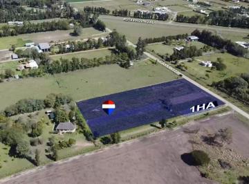 Terreno · 10000m² · Avellaneda, Se Vende 1 Hectárea a m de Rp 31