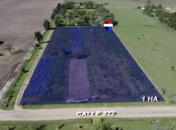 Terreno · 10000m² · Avellaneda, 1 Hectárea en Venta