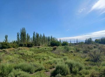 Terreno · 19700m² · Venta Lote Apto Desarrollo 2ha San Martin Mendoza