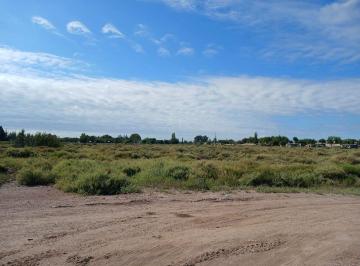 Terreno · 20641m² · Venta Lote 2ha Apto Desarrollo San Martin Mendoza