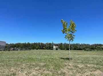 Terreno · 1123m² · Venta Lote en Barrio El Campo - Fincas Exclusivas