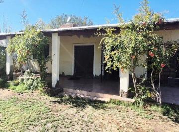 Campo · 90ha · Venta Finca en Guaymallen 2,8 Ha