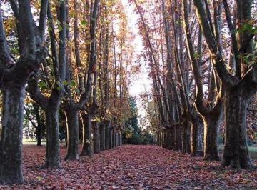 Terreno , Fighiera · Terreno en Azhares del Parana